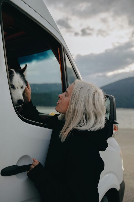 A dog in a camper van